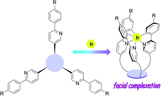 Graphical abstract: Synthesis of facial cyclometalated iridium(iii) complexes triggered by tripodal ligands