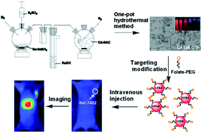 Graphical abstract: Synthesis of NAC capped near infrared-emitting CdTeS alloyed quantum dots and application for in vivo early tumor imaging