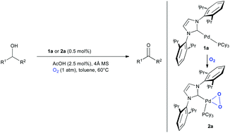Graphical abstract: [Pd(NHC)(PR3)] (NHC = N-heterocyclic carbene) catalysed alcohol oxidation using molecular oxygen