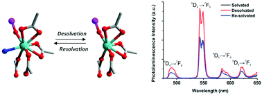 Graphical abstract: Gas sorption and luminescence properties of a terbium(iii)-phosphine oxide coordination material with two-dimensional pore topology