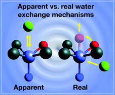Graphical abstract: Apparent or real water exchange reactions on [Zn(H2O)4(L)]2+·2H2O (L = sp-nitrogen donor ligands)? A quantum chemical investigation