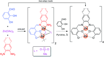 Graphical abstract: Isolation and characterization of unusual multinuclear Schiff base complexes: rearrangements reactions and octanuclear cluster formation