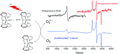 Graphical abstract: Photo-induced oxidation of [FeII(N4Py)CH3CN] and related complexes