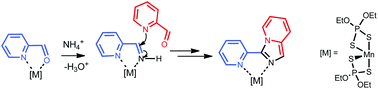 Graphical abstract: Complexes with 3-(pyridin-2-yl)imidazo[1,5-a]pyridine ligands by spontaneous dimerization of pyridine-2-carboxaldehyde within the coordination sphere of manganese(ii) in a one-pot reaction