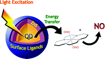 Graphical abstract: Quantum dot photosensitizers. Interactions with transition metal centers