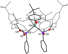 Graphical abstract: A bisphosphonite calix[5]arene ligand that stabilizes η6 arene coordination to palladium