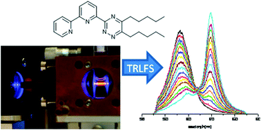 Graphical abstract: Complexation of Cm(iii) with 6-(5,6-dipentyl-1,2,4-triazin-3-yl)-2,2′-bipyridine studied by time resolved laser fluorescence spectroscopy