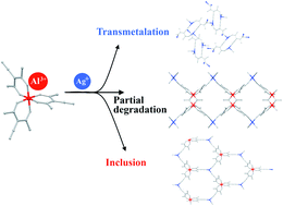 Graphical abstract: Bimetallic coordination networks based on Al(acacCN)3: a building block between inertness and lability