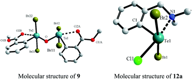 Graphical abstract: Isolation and molecular structures of novel organotellurium(iv) halides, oxyhalide and mixed halide