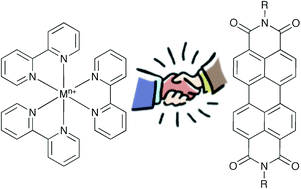 Graphical abstract: Transition metal complexes meet the rylenes