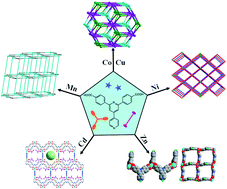 Graphical abstract: Syntheses, structures and physical properties of transition metal–organic frameworks assembled from trigonal heterofunctional ligands