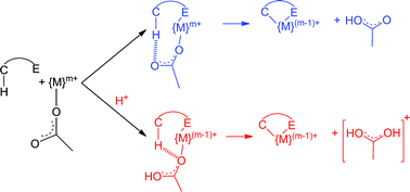 Graphical abstract: Kinetico-mechanistic studies of cyclometalating C–H bond activation reactions on Pd(ii) and Rh(ii) centres: The importance of non-innocent acidic solvents in the process