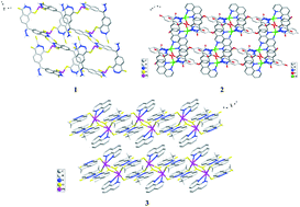 Graphical abstract: New metal complexes with di(mono)acylhydrazidate molecules