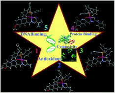 Graphical abstract: Mixed ligand palladium(ii) complexes of 6-methoxy-2-oxo-1,2-dihydroquinoline-3-carbaldehyde 4N-substituted thiosemicarbazones with triphenylphosphine co-ligand: Synthesis, crystal structure and biological properties