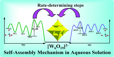 Graphical abstract: The self-assembly mechanism of the Lindqvist anion [W6O19]2− in aqueous solution: a density functional theory study