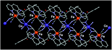 Graphical abstract: Slow magnetic relaxation in a 4,2-ribbon like FeIII2CoII heterobimetallic chain