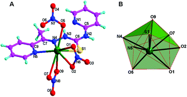 Graphical abstract: One dodecahedral bismuth(iii) complex derived from 2-acetylpyridine N(4)-pyridylthiosemicarbazone: synthesis, crystal structure and biological evaluation