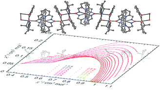 Graphical abstract: Observation of two types of magnetization relaxation in a weakly correlated antiferromagnetic chain of MnIII2 single-molecule magnets