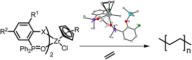 Graphical abstract: Monochloro non-bridged half-metallocene-type zirconium complexes containing phosphine oxide-(thio)phenolate chelating ligands as efficient ethylene polymerization catalysts