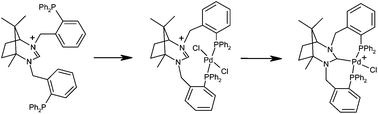 Graphical abstract: Variable coordination of a chiral diphosphine containing an amidinium/NHC group within its backbone: μ-P,P′, κ2-P,P′ and κ3-P,C,P′ coordination modes