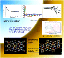 Graphical abstract: Synthesis, structure, magnetic properties and biological activity of supramolecular copper(ii) and nickel(ii) complexes with a Schiff base ligand derived from vitamin B6