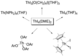 Graphical abstract: Thorium-mediated ring-opening of tetrahydrofuran and the development of a new thorium starting material: preparation and chemistry of ThI4(DME)2