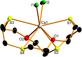 Graphical abstract: s-Block chalcogenoether chemistry – thio- and selenoether coordination with hard Group 2 ions