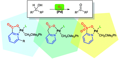 Graphical abstract: Well-defined alkylpalladium complexes with pyridine-carboxylate ligands as catalysts for the aerobic oxidation of alcohols