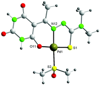 Graphical abstract: Neutral NiII, PdII and PtII ONS-pincer complexes of 5-acetylbarbituric-4N-dimethylthiosemicarbazone: synthesis, characterization and properties