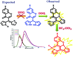 Graphical abstract: Luminescent N,O-chelated chroman-BF2 complexes: structural variants of BODIPY
