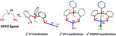 Graphical abstract: Coordination of a diphosphine–phosphine oxide to Au, Ag and Rh: when polyfunctionality rhymes with versatility