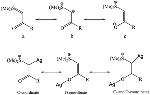 Graphical abstract: Synthesis and characterization of novel simultaneous C and O-coordinated and nitrate-bridged complexes of silver(i) with carbonyl-stabilized sulfonium ylides and their antibacterial activities