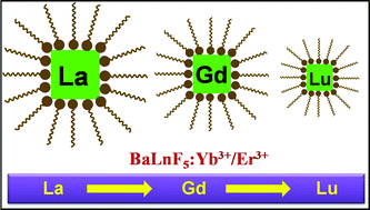 Graphical abstract: Scaling down the size of BaLnF5 nanocrystals (Ln = La, Gd, and Lu) with the Ln3+ size