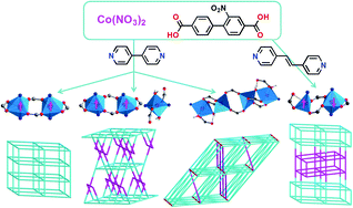 Graphical abstract: Synthesis, structure, topology and magnetic properties of cobalt(ii) coordination polymers with 2-nitrobiphenyl-4,4′-dicarboxylic acid and bis(pyridyl) ligands