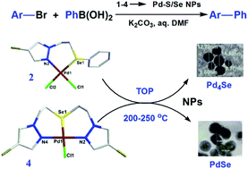 Graphical abstract: Palladium(ii) complexes of pyrazolated thio/selenoethers: syntheses, structures, single source precursors of Pd4Se and PdSe nano-particles and potential for catalyzing Suzuki–Miyaura coupling
