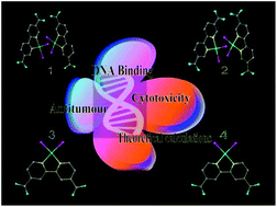 Graphical abstract: Synthesis, characterization, interaction with DNA and cytotoxicity of Pd(ii) and Pt(ii) complexes containing pyridine carboxylic acid ligands