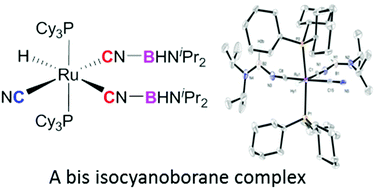 Graphical abstract: Synthesis of a ruthenium bis(diisopropylamino(isocyano)borane) complex from the activation of an amino(cyano)borane