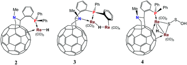 Graphical abstract: Re–Re bond breaking of (μ-H)3Re3(CO)11(NCMe) upon reaction with PPh2(o-C6H4)(CH2NMeCH)C60 to generates monorhenium and dirhenium phosphino–fullerene complexes