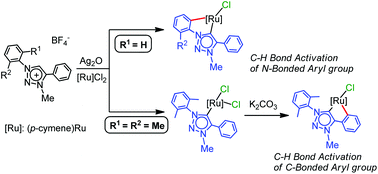 Graphical abstract: Position-selective intramolecular aromatic C–H bond activation of 1,2,3-triazol-5-ylidene (tzNHC) ligands in (p-cymene)ruthenium(ii) complexes