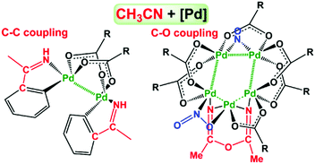 Graphical abstract: Reactivity of polynuclear palladium carboxylate complexes towards acetonitrile: synthesis and X-ray study of Pd2(C6H4-o-C( [[double bond, length as m-dash]] NH)CH3)2(CH3CO2)2 and Pd5(CH3C( [[double bond, length as m-dash]] N)OC( [[double bond, length as m-dash]] N)CH3)(NO)(NO2)x(RCO2)7−x