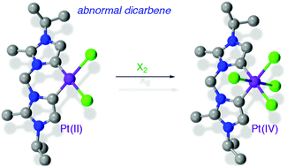 Graphical abstract: Platinum(ii) and platinum(iv) complexes stabilized by abnormal/mesoionic C4-bound dicarbenes