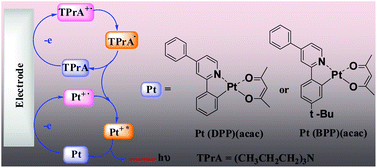 Graphical abstract: Synthesis, characterization and electrochemiluminescent properties of cyclometalated platinum(ii) complexes with substituted 2-phenylpyridine ligands