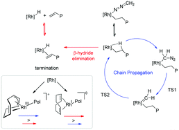 Graphical abstract: Propagation and termination steps in Rh-mediated carbene polymerisation using diazomethane
