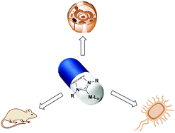 Graphical abstract: N-Heterocyclic carbene metal complexes in medicinal chemistry