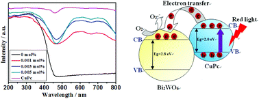 Graphical abstract: Large improvement of photo-response of CuPc sensitized Bi2WO6 with enhanced photocatalytic activity