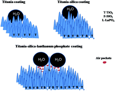 Graphical abstract: Novel multifunctional titania–silica–lanthanum phosphate nanocomposite coatings through an all aqueous sol–gel process