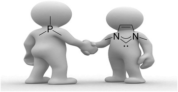 Graphical abstract: When phosphorus and NHC (N-heterocyclic carbene) meet each other