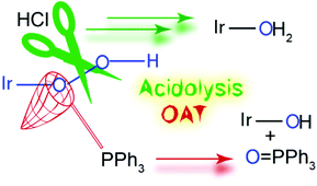 Graphical abstract: Acidolyis and oxygen atom transfer reactivity of a diiridium hydroperoxo complex