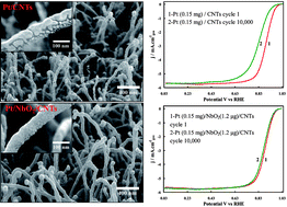 Graphical abstract: Highly corrosion resistant platinum–niobium oxide–carbon nanotube electrodes for the oxygen reduction in PEM fuel cells