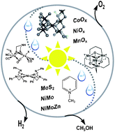 Graphical abstract: Recent advances in hybrid photocatalysts for solar fuel production